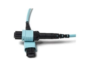 Fiber Cables Direct - Patch cable - MTP/MPO multi-mode (F) to MTP/MPO multi-mode (F) - 4 m - fiber optic - 50 / 125 micron - FCDUS362V10504
