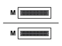 Lenovo - 100GBase-CU direct attach cable - QSFP28 to QSFP28 - 3.3 ft - passive - for ThinkSystem NE10032 RackSwitch, NE2572 RackSwitch, 7Z57A03561