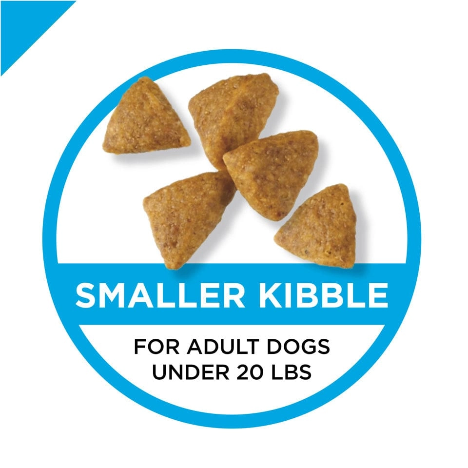 Purina Pro Plan Chicken & Rice Formula Adult Small & Toy Breed Dry Dog Food