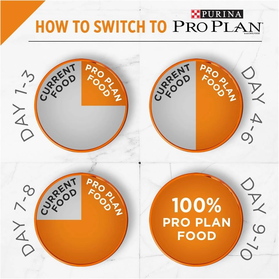 Purina Pro Plan Savor Adult Shredded Blend Small Breed Chicken & Rice Formula Dry Dog Food