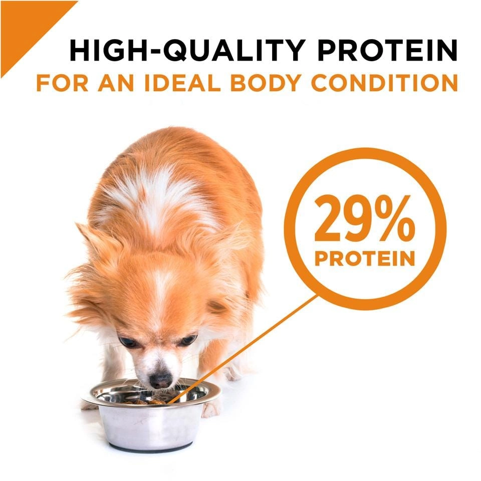 Purina Pro Plan Savor Adult Shredded Blend Small Breed Chicken & Rice Formula Dry Dog Food