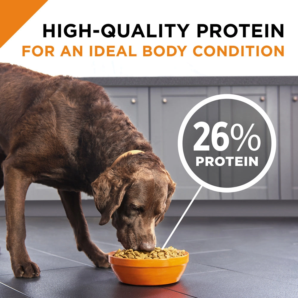 Purina Pro Plan Savor Shredded Blend Beef & Rice Formula Adult Dry Dog Food